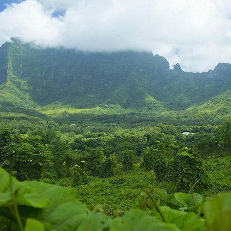 Raiatea - Studio Tenape Tevaitoa Екстер'єр фото